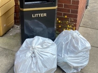 Community Litterpick